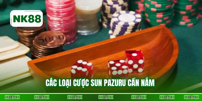 Các loại cược Sun Pazuru cần nắm 