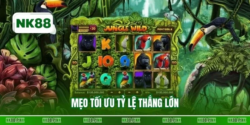 Mẹo tối ưu tỷ lệ thắng lớn