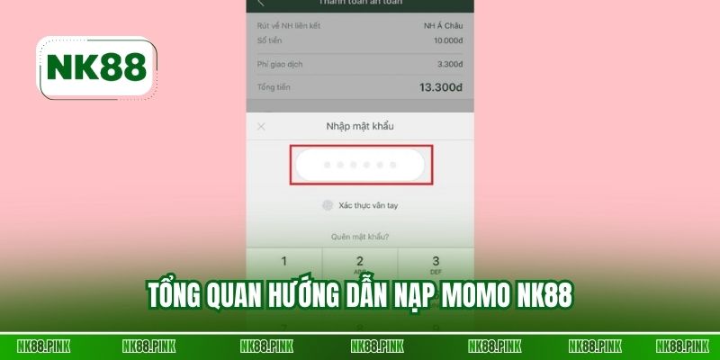 Tổng quan hướng dẫn nạp Momo NK88